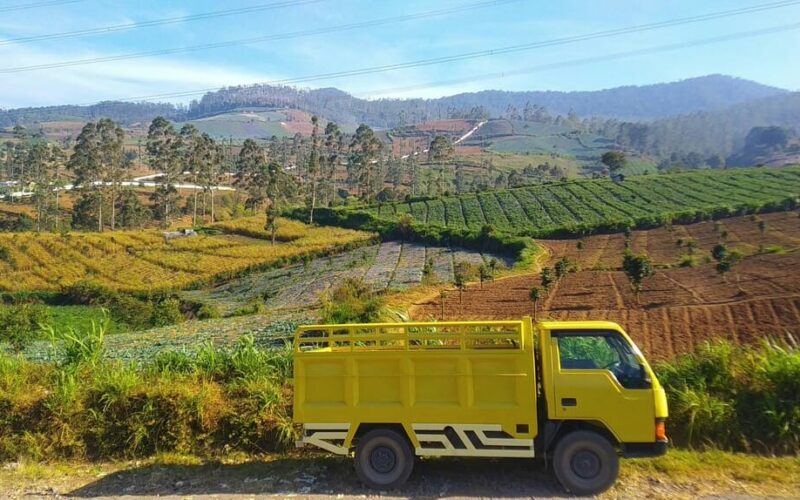 Soluciones innovadoras para optimizar rutas de transporte en Colombia